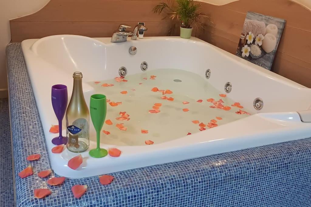 Central Terrace Escape With Jacuzzi Timisoara Bagian luar foto