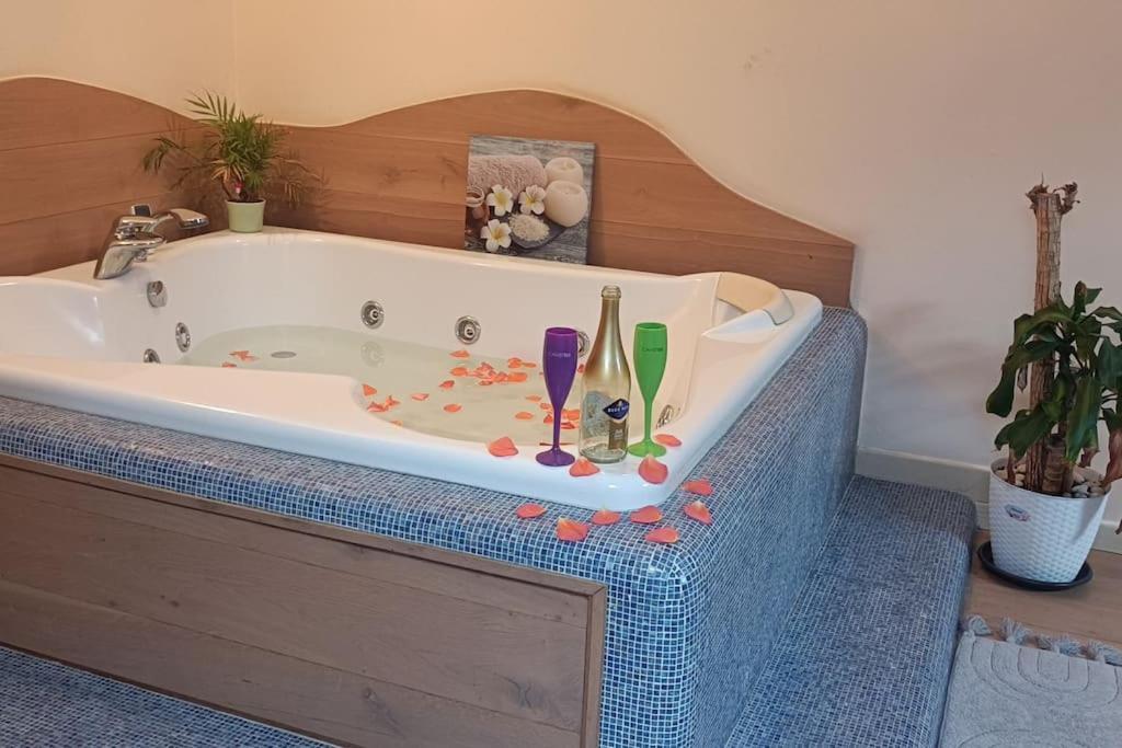Central Terrace Escape With Jacuzzi Timisoara Bagian luar foto