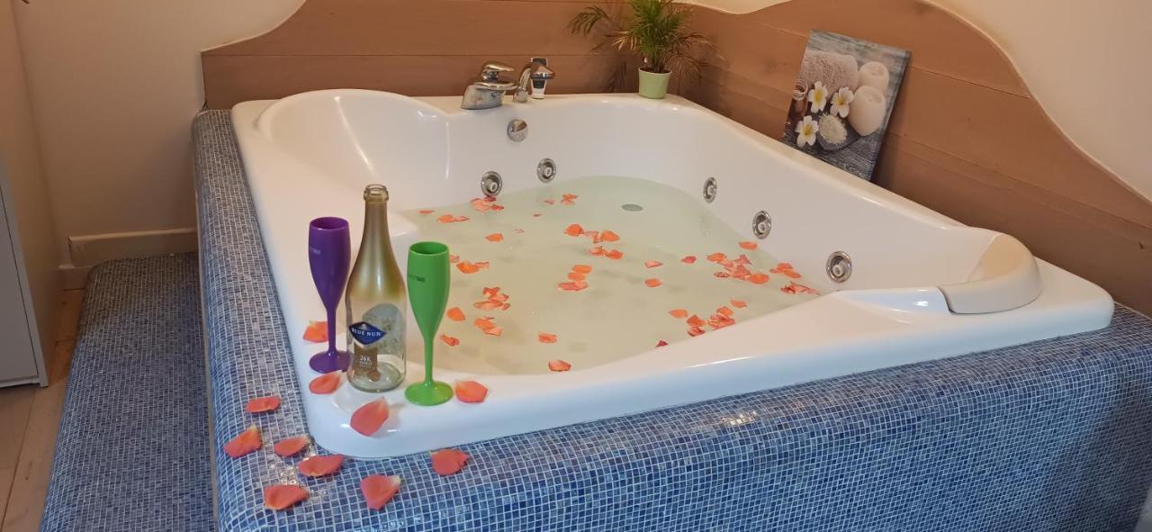 Central Terrace Escape With Jacuzzi Timisoara Bagian luar foto