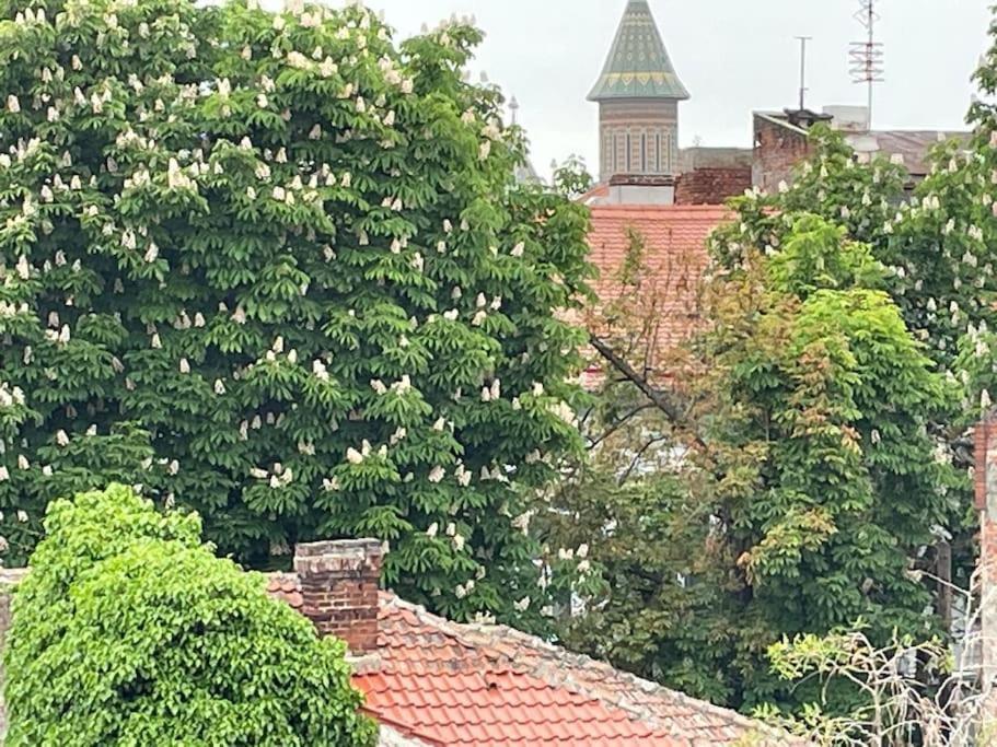 Central Terrace Escape With Jacuzzi Timisoara Bagian luar foto