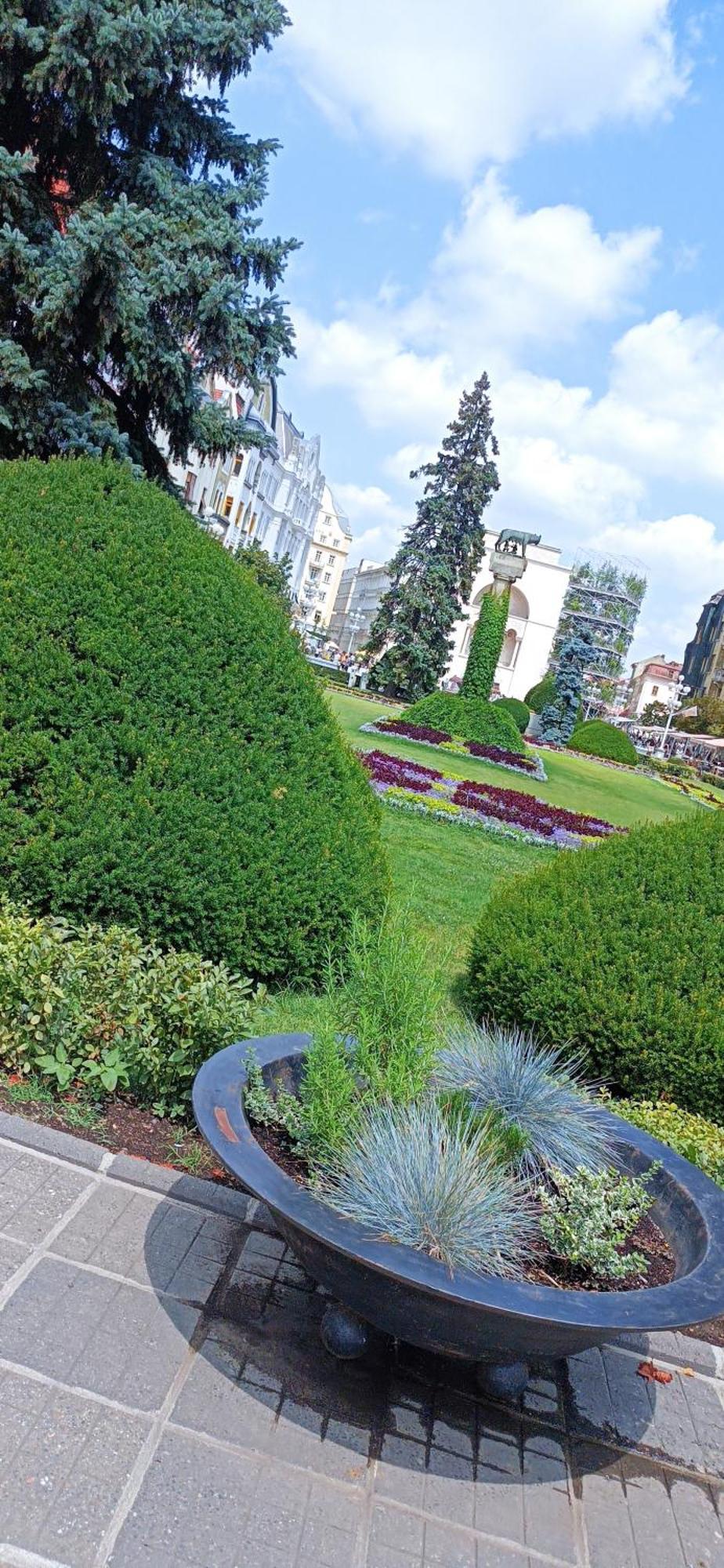 Central Terrace Escape With Jacuzzi Timisoara Bagian luar foto