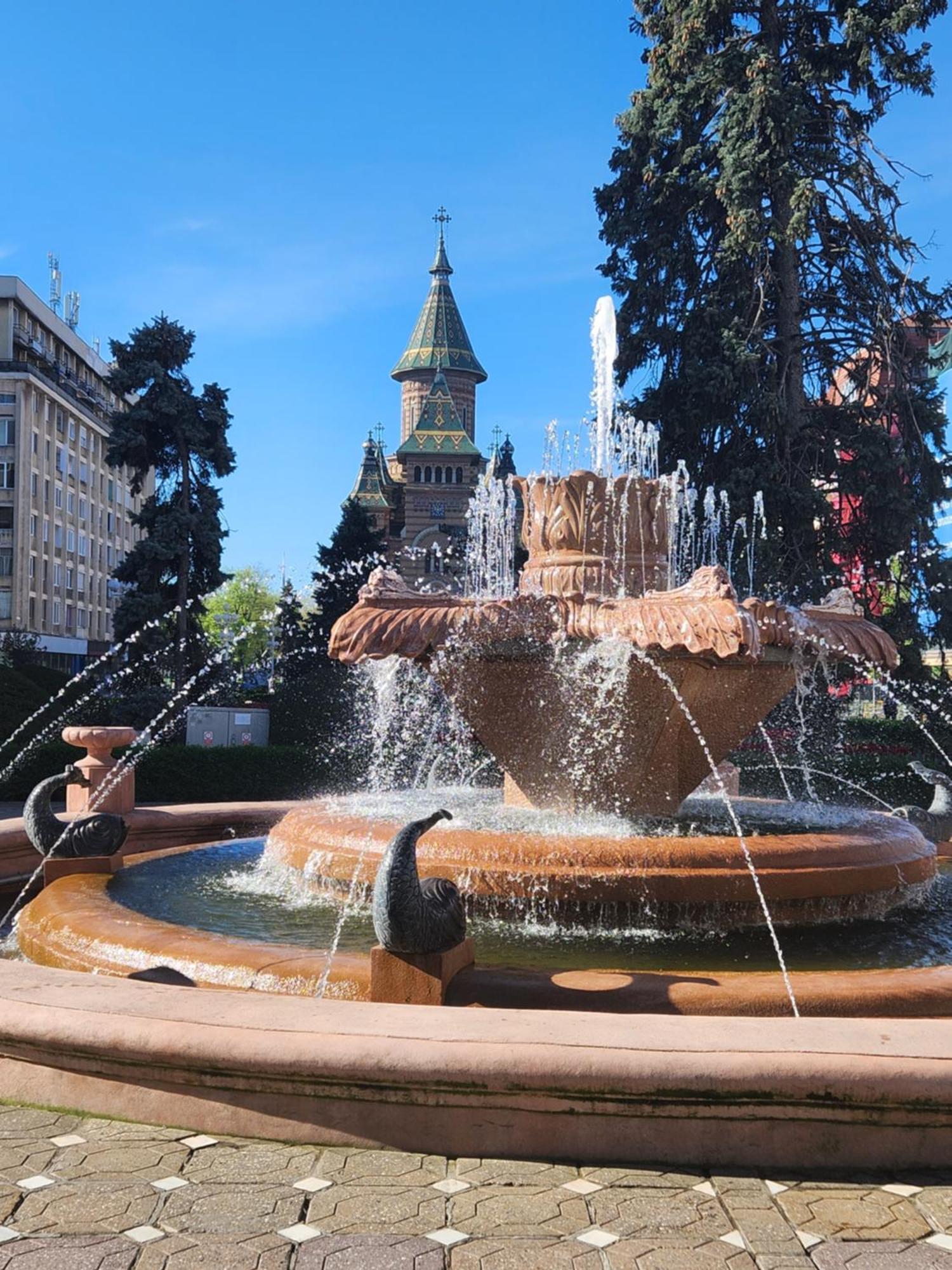 Central Terrace Escape With Jacuzzi Timisoara Bagian luar foto