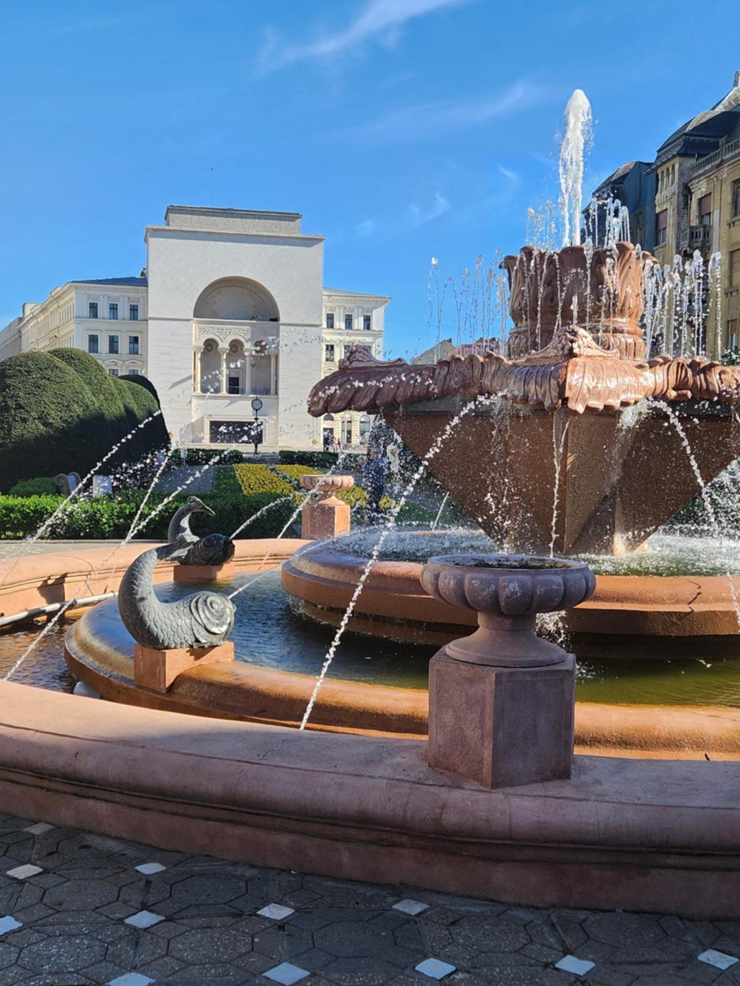 Central Terrace Escape With Jacuzzi Timisoara Bagian luar foto
