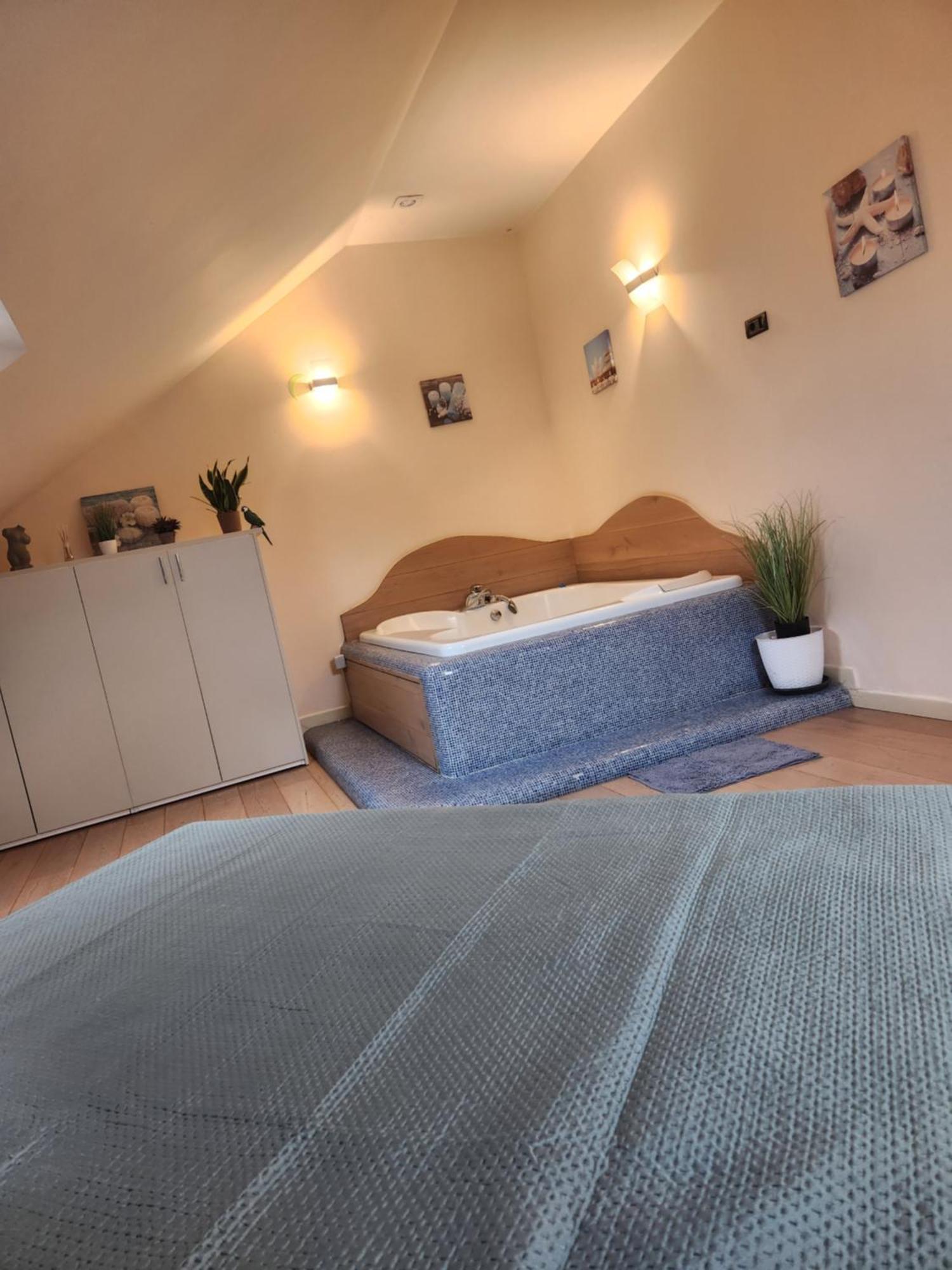 Central Terrace Escape With Jacuzzi Timisoara Bagian luar foto