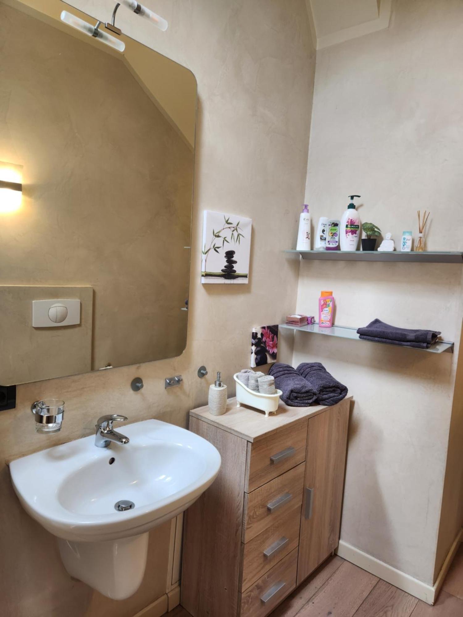 Central Terrace Escape With Jacuzzi Timisoara Bagian luar foto
