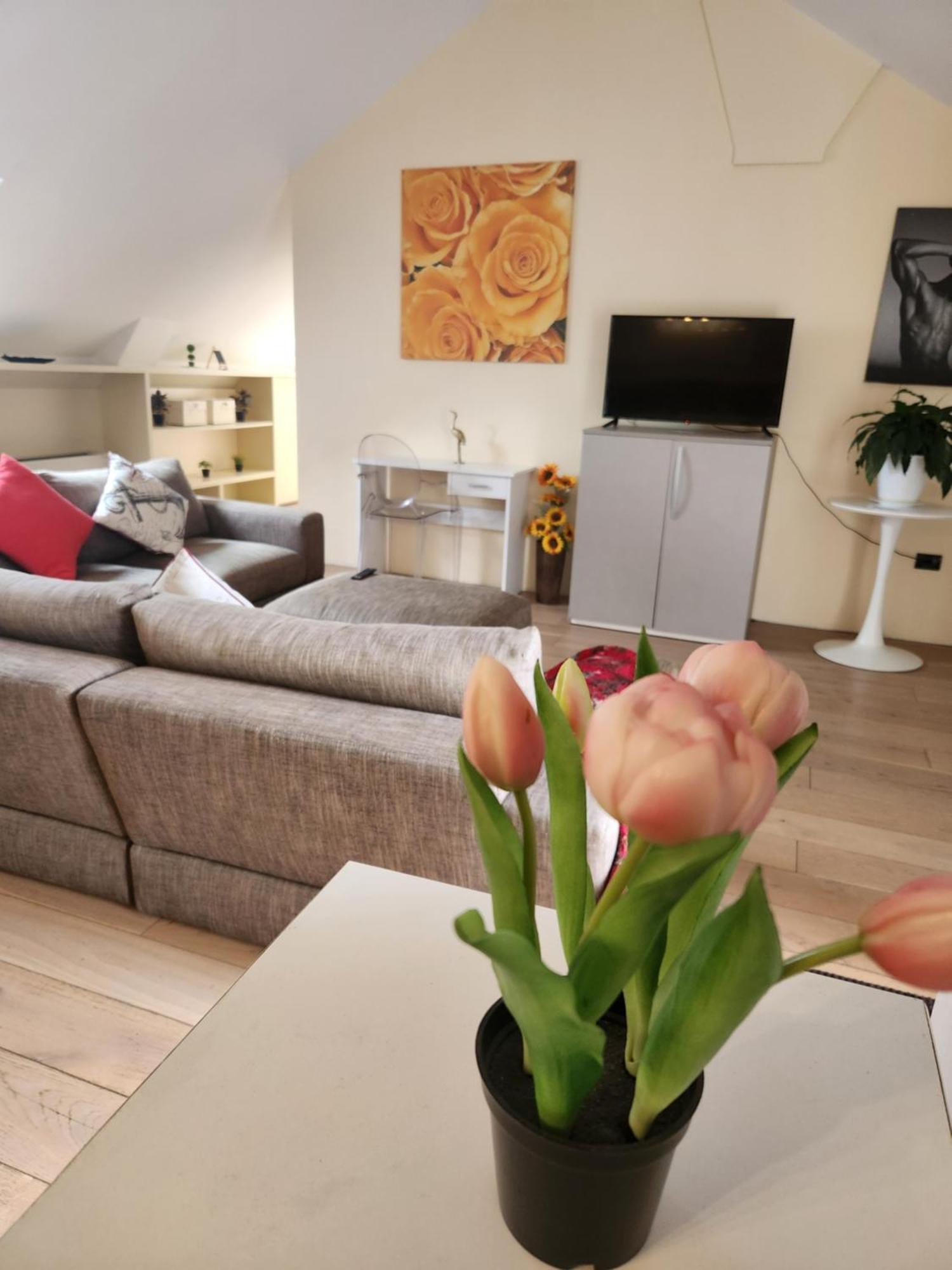 Central Terrace Escape With Jacuzzi Timisoara Bagian luar foto