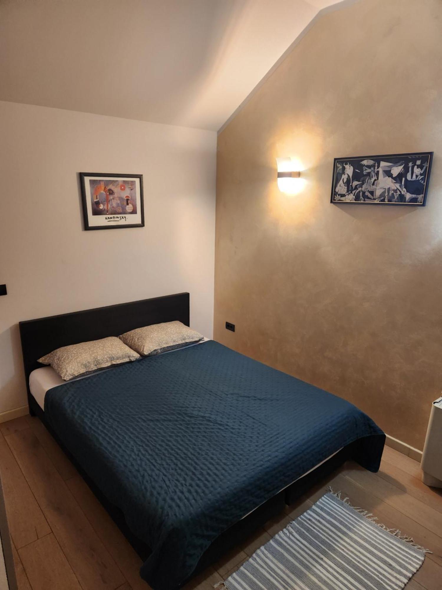 Central Terrace Escape With Jacuzzi Timisoara Bagian luar foto
