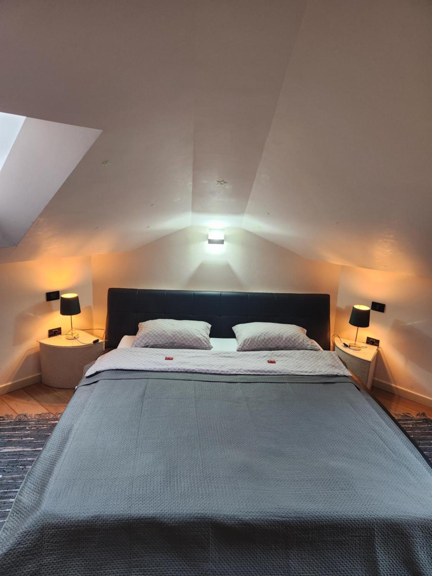 Central Terrace Escape With Jacuzzi Timisoara Bagian luar foto